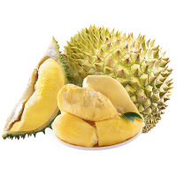 泰国进口青皮榴莲 新鲜榴莲 1个装 (共4-5斤)