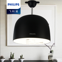 飞利浦(Philips) BYO88P LED 低天棚灯 30W创意现代大功率超亮室内照明光源 明逸天棚灯 JH