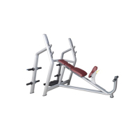 天展 卧推架 TZ-6030