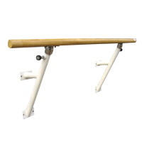 蜀天龙舞蹈教室把杆