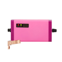 钢盾徽农电瓶充电器12VHN-60Q