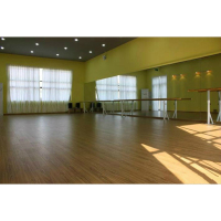 蜀天龙健身房专用镱子(含不锈钢镜框)