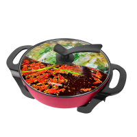 长虹(CHANGHONG) 电火锅 鸳鸯电火锅一锅两味 5升大容量 DHG-50B1