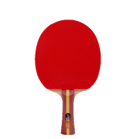 WOLF SLAVES LH 乒乓球拍