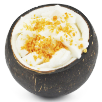 菲诺椰子冻2个装 单果1.5-2斤