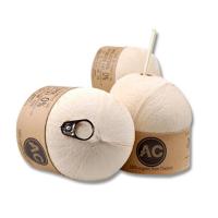 泰国进口易拉罐拉环椰皇 2个装 单果2-2.5斤