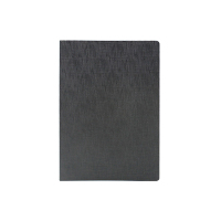正彩(ZNCI)加厚 记事本 DV69-B501 B5 (黑色) 152页/本 (荔枝纹)