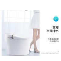 箭牌智能一体坐便器AKB1305