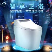 箭牌智能一体坐便器AKB1308