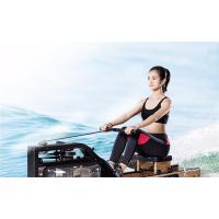 金穗慧采 阻划船机家用 健身器材划船器SH-R5100