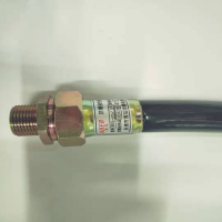 恒联 博泓防爆挠性连接管DN20*700