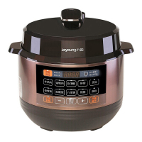 九阳(Joyoung)电压力煲Y-50C20-B