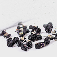 素言茶坊 黑枸杞 HB