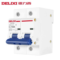 德力西 小型断路器 规格:DZ47S C型 2P 80A