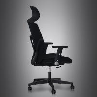 自营 新品 标灿（DECHENGHE） 办公家具电脑椅员工椅子头枕旋转尼龙脚网椅旋转靠背升降扶手 黑色