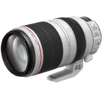 佳能(Canon)EF 100-400mm f/4.5-5.6L IS II USM 单反镜头 远摄 变焦镜头
