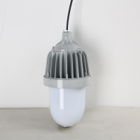 恒盛-WF2120-防水防尘灯（个）