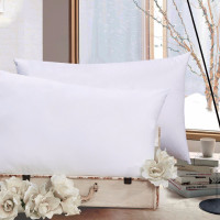 富安娜家纺 枕芯 恬享1+1枕