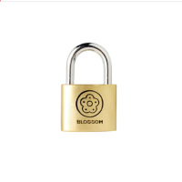 梅花 BLOSSOM 雅圆铜挂锁25MM 抽屉锁箱包锁 宿舍柜门锁BC9025