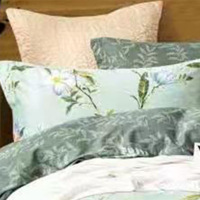 悦达家纺(YUEDA HOME TEXTILE) 纯棉四件套兰贵人 200*230