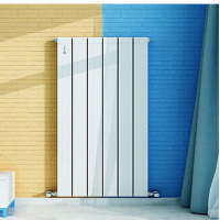 青阳1255*505暖气片、散热器（套）