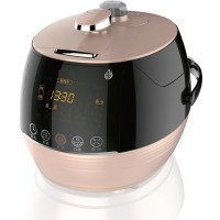 荣事达 (Royalstar) 电压力锅