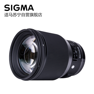 适马(SIGMA)85 mm F1.4 ART系列大光圈人像 标准定焦镜头 单反相机镜头 L卡口 数码摄影相机配件