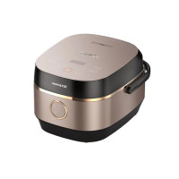 九阳铁釜电饭煲 F-40T20