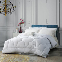 水星(MERCURY)水星家纺 清朗净醛抗菌羽丝绒被第二代