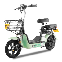 48伏新国标锂电电动车