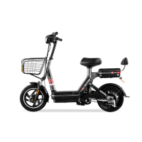 新日小乐士电动车自行车