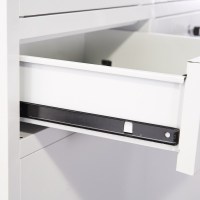 洛来宝 文件柜中二斗器械柜