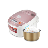 九阳(Joyoung)电饭煲F-30FE01DJ点睛