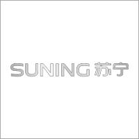 苏宁集团标 SUNING苏宁 拉丝不锈钢金属字 百和仕