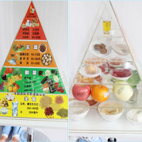 企购优品 2020版营养食物模型中国居民平衡膳食宝塔 膳食宝塔模型+配套的升降桌子