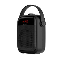 十度(ShiDu) 十度黑金刚H6无线蓝牙大功率广场舞小音响教师教学导游讲解扩音器 蓝牙版 标配