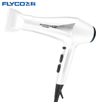 飞科(FLYCO)便携式 电吹风 家用 吹风机 FH6102DJ 点睛