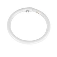 itbull T5环形灯管22W白光 外直径18厘米