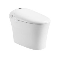 Zs-高端智能全自动坐便器