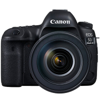 佳能(Canon) EOS 5D4(24-105+600EX闪光灯) 数码单反相机 单机身不含镜头 约3040万像素