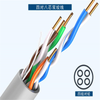 SunnyGreen 6类双蔽网络连接线 10米/根