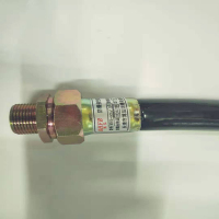 恒联 博泓防爆挠性连接管DN20*1500