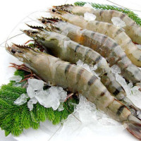 一统经典海鲜盒经典海鲜588型