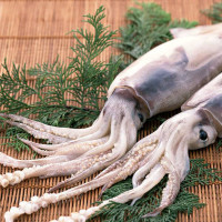 统牌至尊冰鲜海鲜盒 5880 型