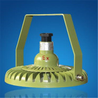 德力西防爆射灯220v200w