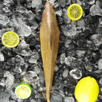 优质 东海野生尖嘴黄姑鱼 300克/盒 2盒装