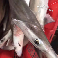 优质 东海野生鲨鱼 350克/盒 2盒装