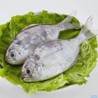 优质 东海野生汤鱼 300克/盒 2盒装