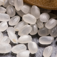 晋唐元宝珍珠米东北大米25KG