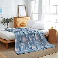 恒源祥 TSB2031 蒲公英毛巾被(四层)单条装